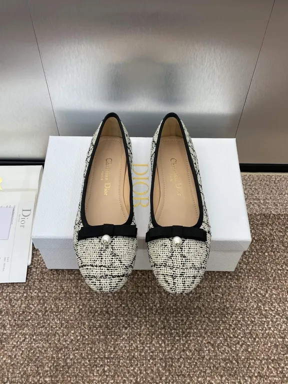 Dior Shoe 